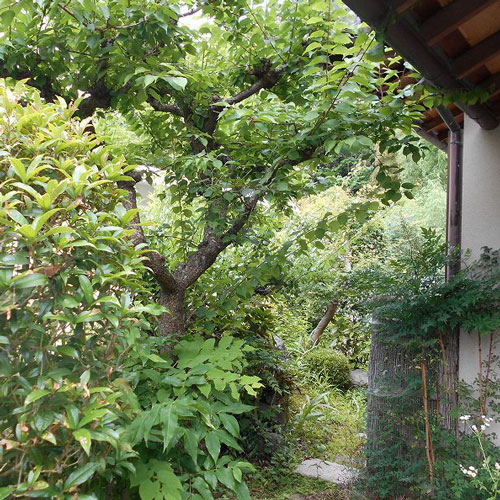 エクステリアスッキリリフォーム【京都府長岡京市　S様邸】